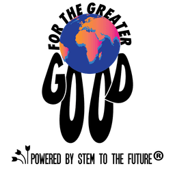 program image