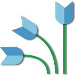 program image